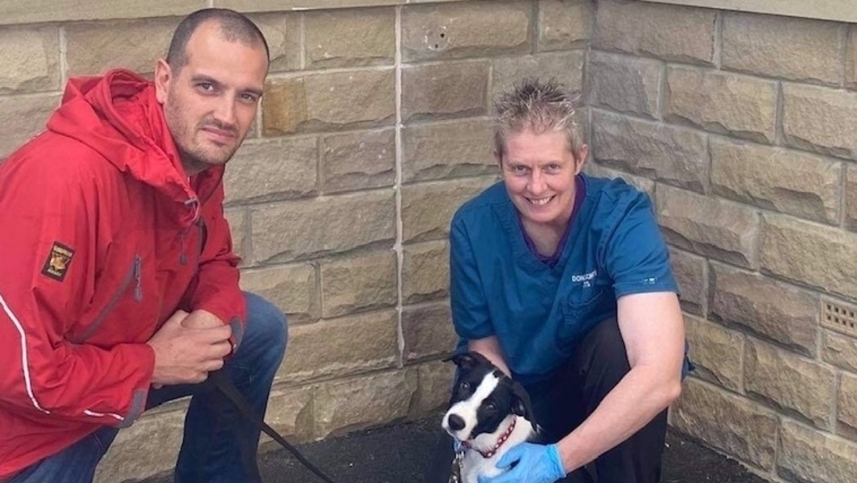 OMRT Leader Rob Tortoishell, Rona from Donaldson's Vets and Ace the rescue dog. OMRT Leader Rob Tortoishell, Rona from Donaldson's Vets and Ace the rescue dog.