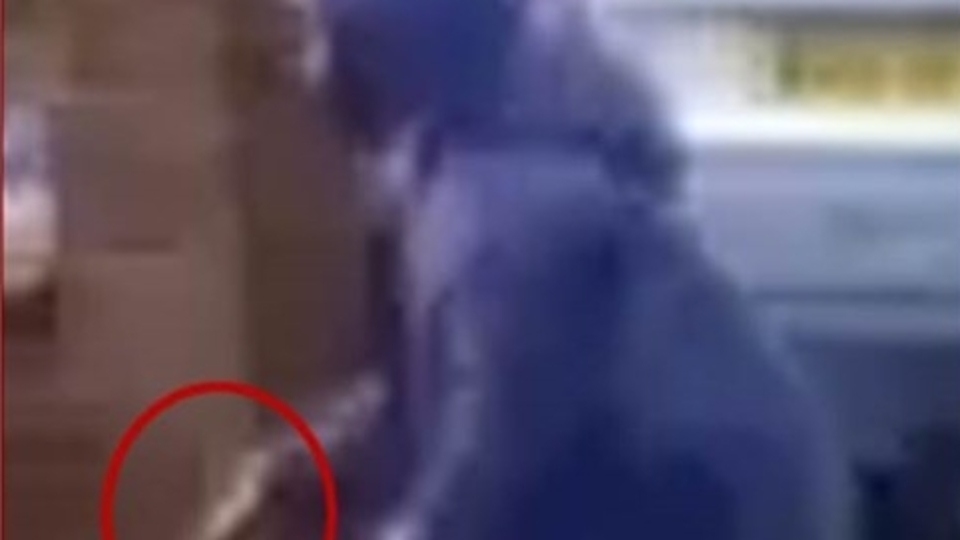 Tyrese Chisholm is pictured during the attack in June Tyrese Chisholm is pictured during the attack in June