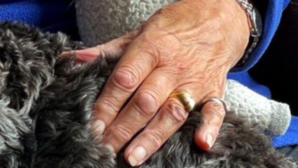 An image of the wedding ring which has been stolen from Anita Ellis's finger in the Royal Oldham hospital