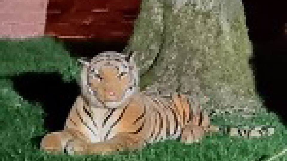 A tiger was spotted in Oldham A tiger was spotted in Oldham