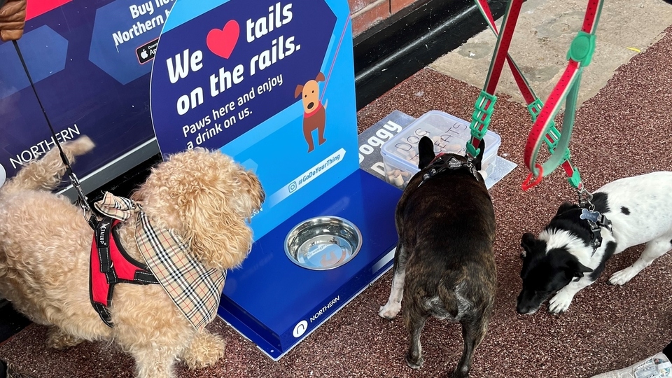 Northern is rolling out pup-friendly provisions Northern is rolling out pup-friendly provisions