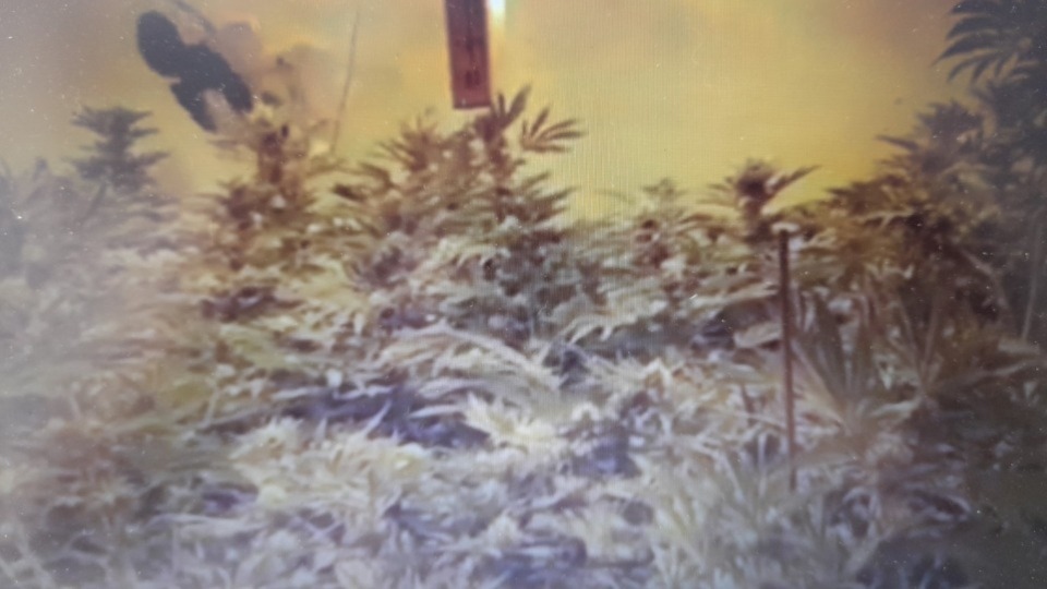 A still taken from a video posted on the GMP Oldham Central Facebook page today A still taken from a video posted on the GMP Oldham Central Facebook page today