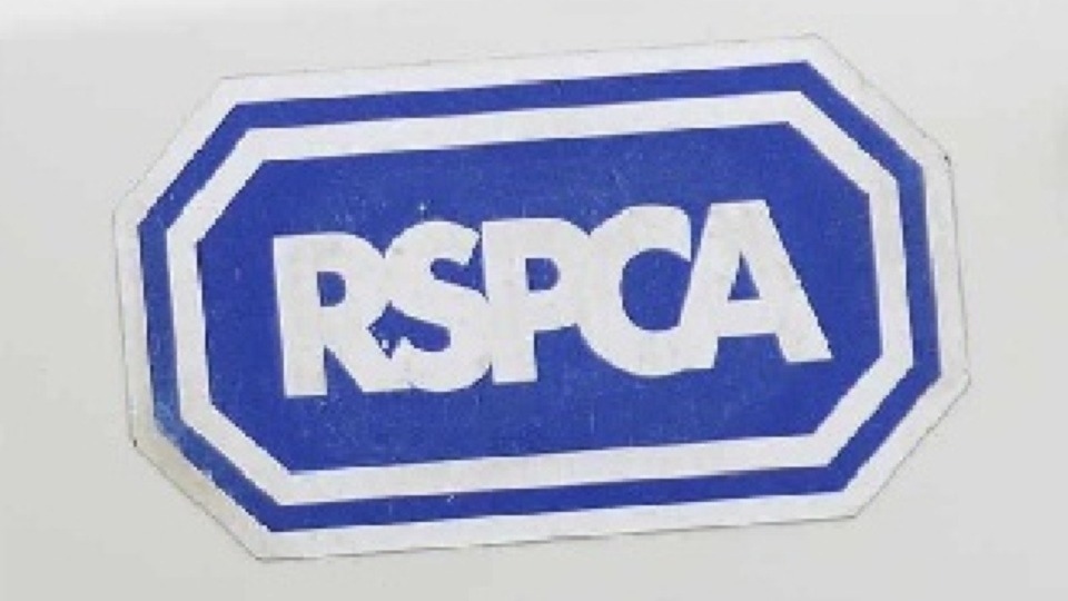 Although part of a national charity, the Strinesdale RSPCA branch is financially independent of them and is self-funded