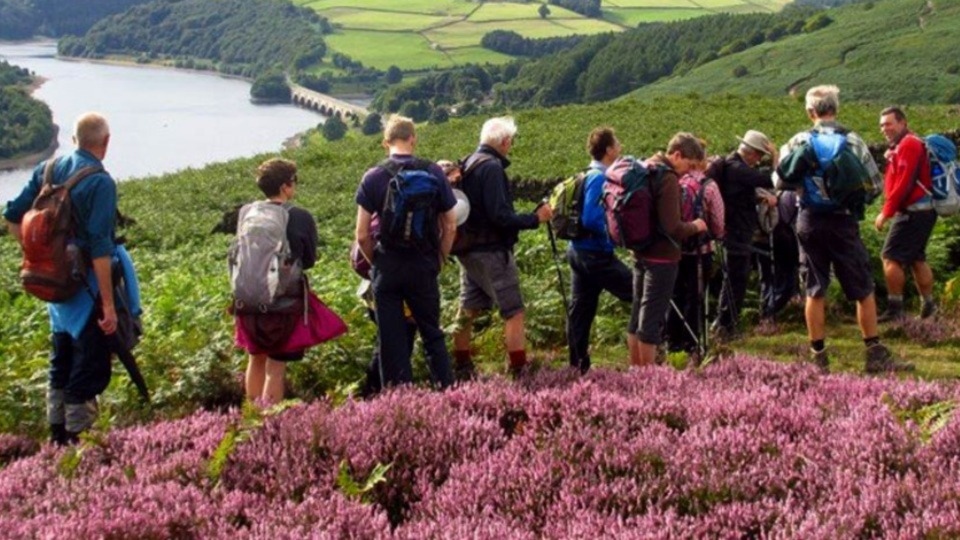 Many of the walks are suitable for families with children who enjoy a challenge