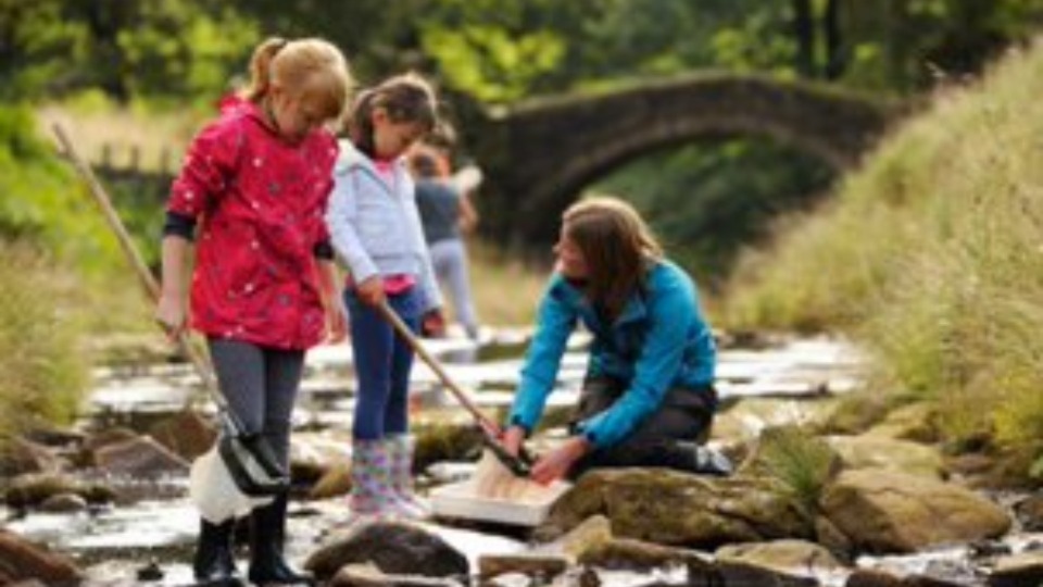 Children dipping for wildlife in a stream at Eastergate on the Marsden Moor estate