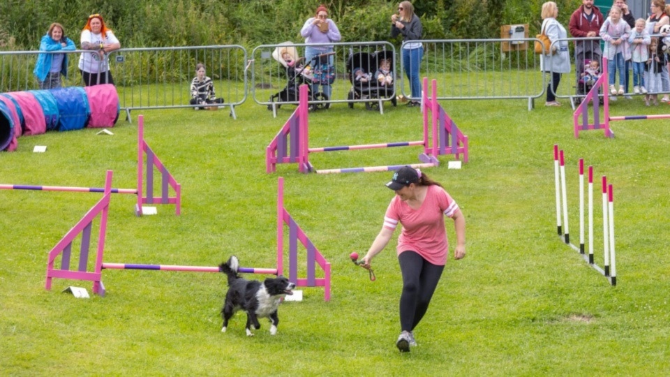 The Fun Dog Show will again feature heavily at the Saddleworth Show this Sunday The Fun Dog Show will again feature heavily at the Saddleworth Show this Sunday