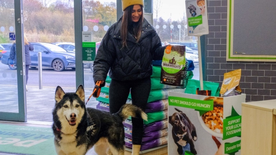 A Blue Cross donation point in a typical Pets at Home store