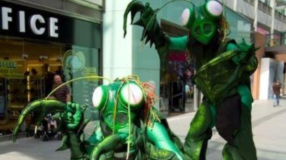 These giant Praying Mantis insects will certainly scare you on Saturday, October 28. Image courtesy of OMBC