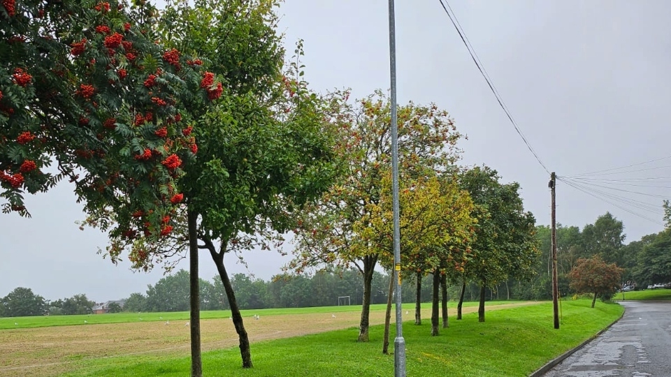 Heavy rain and gusty winds are due today (Thursday)