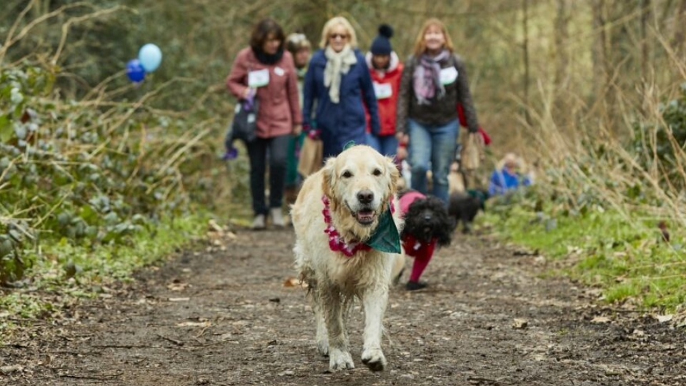 Together with their furry friends, Oldhamers are being urged to walk 60 miles throughout April to raise money for Stand Up To Cancer