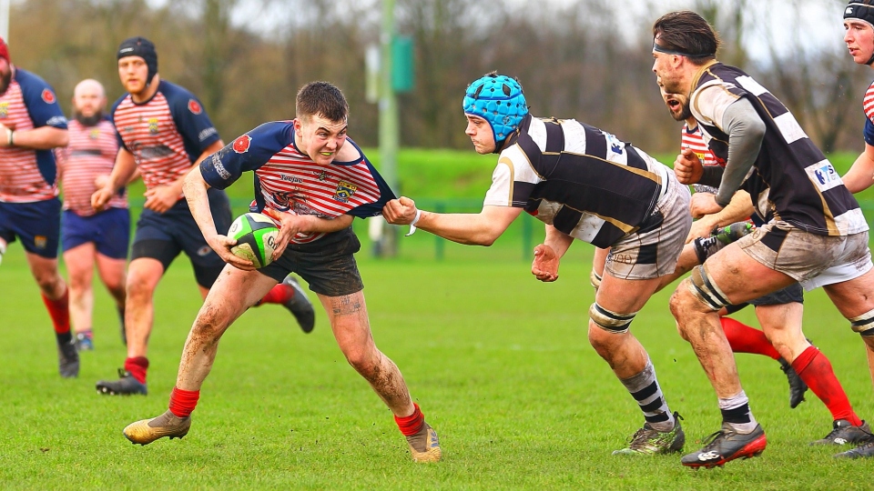 Young scrum half Lewis Ward is pictured in the thick of the action
