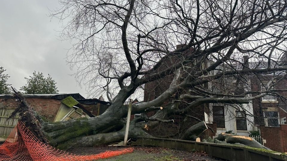 An example of the damage caused by a fallen tree in Royton. Images courtesy of Charlotte Hall