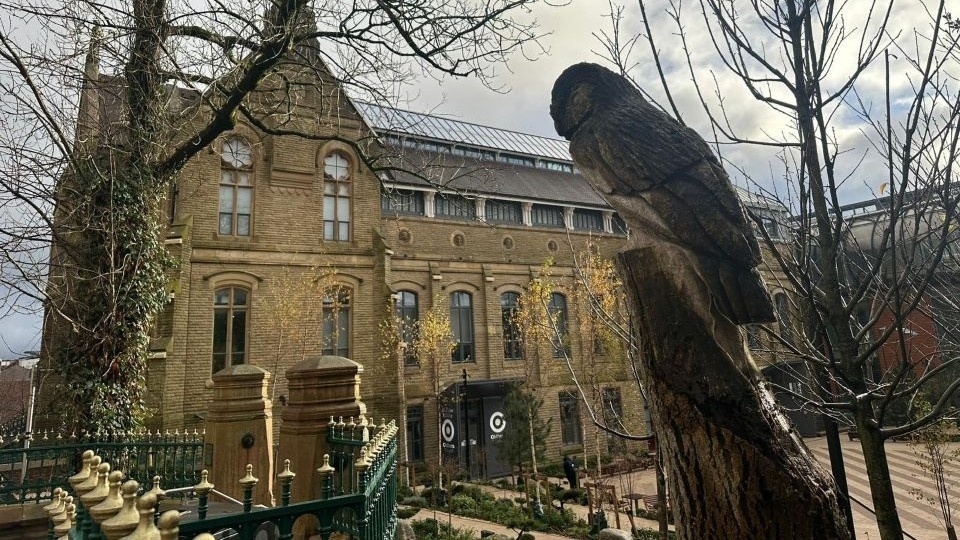 The call comes after Oldham town hall was found to have one of the highest numbers of standards complaints of any other Greater Manchester council