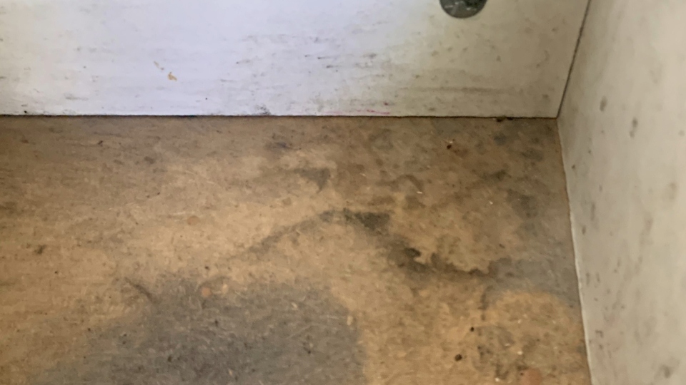 One of the damp surfaces in Damon's property One of the damp surfaces in Damon's property