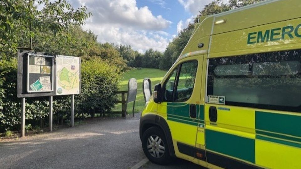 A scene from Saturday's rescue incident