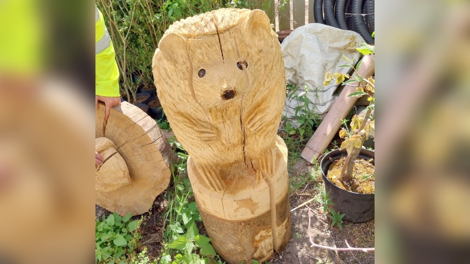 The chainsaw art hedgehog stolen from the Groundwork depot in Oldham. Image courtesy of Sam Al-Hamdani