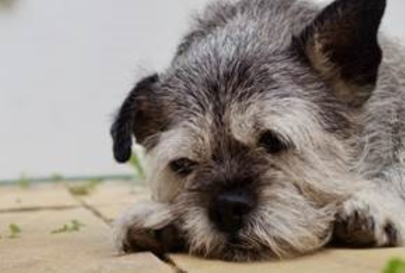 Do you know the signs 