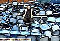 SEATS YOU, SIR: Workman Sean Garrett with some of the seats from the Broadway Stand. 