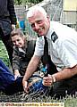 CAUGHT . . . the peacock is netted by Ian Millett and members of the pollution control team 