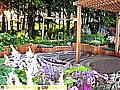 Oldham's Tatton Park RHS Show entry 