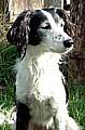 HAVE you seen Gemma? 