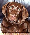Buster