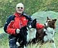 RESCUE . . . Mr Ward, with his dog Bryn (nearest to him) and trainee rescue dog, Ty 

