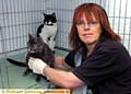 DUMPED . . . Pennine Pen secretary Julie Flanagan with Phoebe (front) and Bobo