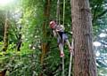 Matthew Smith drops down through the tree canopy 