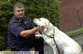 HEROIC rescue dog Echo has been reunited with his delighted handler Mike Dewar after six months in quarantine following his mission to help victims of the Haiti earthquake. And it’s straight back to work saving lives in Greater Manchester for the Chadderton-based hound who delighted his adoring public at Oldham Fire Station yesterday. 