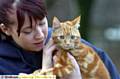 ABANDONED . . . animal care worker Roxanne Greenwood with Tigger 