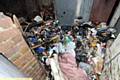 The backyard, used as a dumping ground and attracting vermin 
