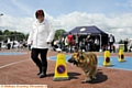 Tracey Hulme puts her pet, Sasha, through her paces in the agility test.