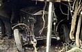 HIDDEN away . . . the Rolls Royce gathered dust for 45 years