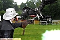 SMOOTH landing: Kevin Ryan with Ruby the vulture. 