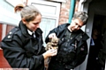 In safe hands: one of the 23 puppies seized at a property in Valentine Street yesterday in the care of RSPCA inspector Gilly Howard and Police sergeant Jon Martin 
