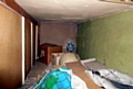 UNWELCOME lodger . . . pigeons were living in the 80-year-old’s home 