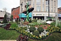 Given the boot! Oldham’s latest floral masterpiece 
