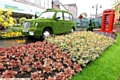 GREEN CAB! 2015’s Oldham Bloom and grow centrepiece