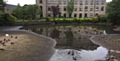 DWINDLING water levels at the pond in the heart of Uppermill