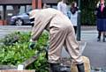 bee keeper Jonathan Downs rounds up the swarm