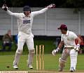 THAT'S OUT . . . Wicketkeeper James O'Neill is jubilant as Crompton professional Akbar Rehman is bowled