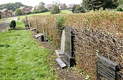 Take a walk around the World War One graves at Greenacres Cemetery