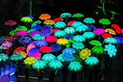 Cirque Bijou Umbrellas