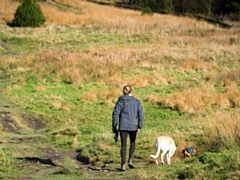 Greater Manchester walking festival
