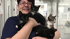 RSPCA manager Susie Hughes is pictured with the four rescued kittens