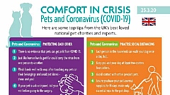 The group has produced a series of colourful graphics giving tips and advice on how to look after your pets while you protect yourself