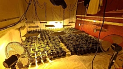 Officers forced entry to the building and uncovered a vast cannabis farm – covering multiple rooms and containing an estimated 3,000 plants, with an estimated street value of £1.2 million