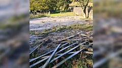 Damage caused by the mystery crash