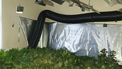 The cannabis farm in Rockhampton Street
